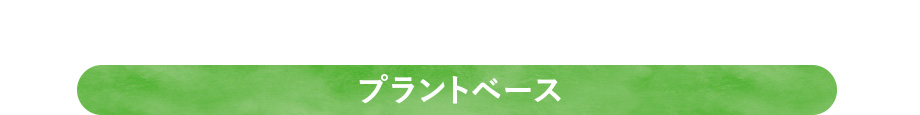 プラントベース