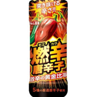 SB食品　燃辛唐辛子　45g
