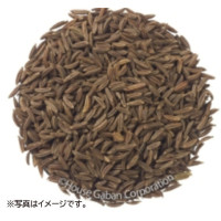 【5/12追加】ギャバン　キャラウェイシード（ホール）　100g